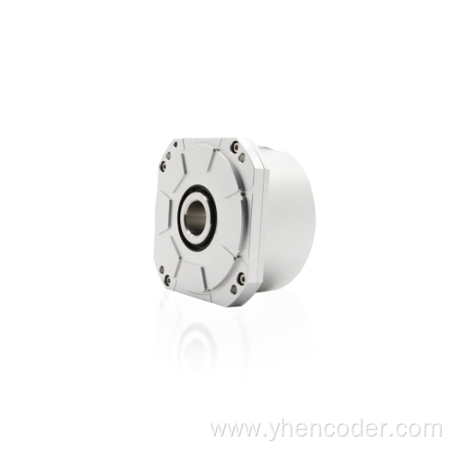 Flexible coupling for encoder